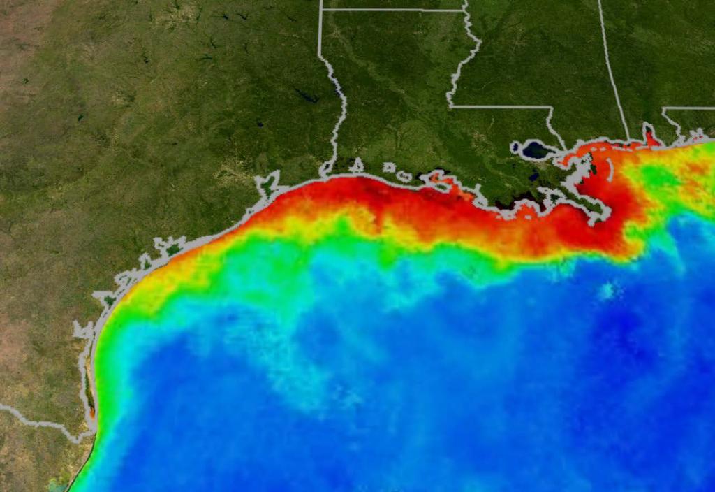 Dead Zones Dead zones are hypoxic (low-oxygen) areas in the world's oceans and large lakes Caused by excessive nutrient pollution from