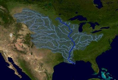 Much of the water deposited on the US drains into the Mississippi river.