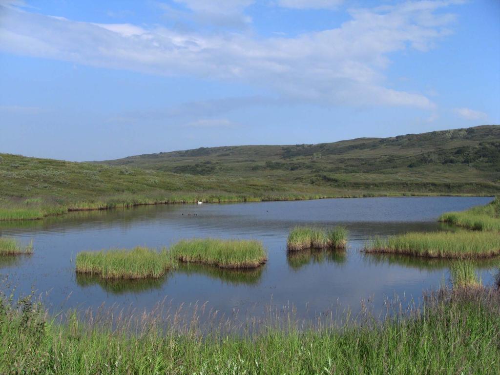 Estuaries and Coastal Wetlands: Centers of Productivity Estuaries and coastal marshes provide ecological and economic services.