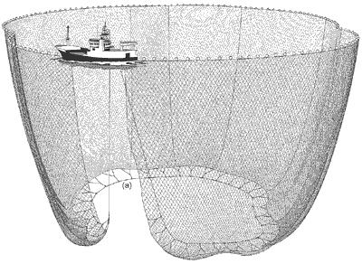 Purse Seines A large purse-like net is put into the ocean and is then closed like a drawstring purse