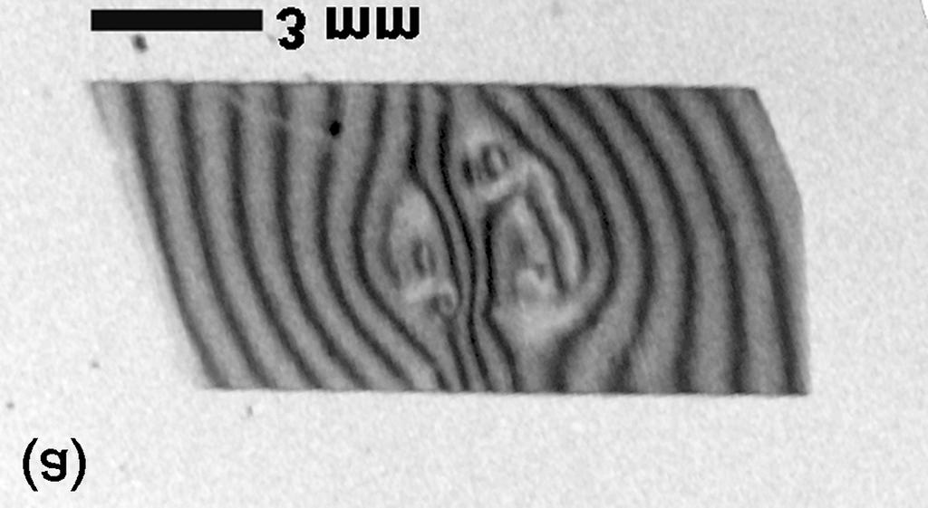 Figure 5. Bragg angle contour topographs (40 arc sec contours) of grit blasted 0.020-in. thick dies mounted with (a) polyimide adhesive and pedestal and (b) continuous film of RTV adhesive.