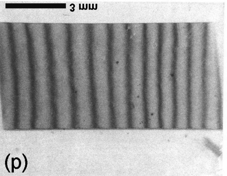 Dislocations and large scale defects, such as seeds, bubbles and subgrains were easily recognized in topographs of substandard quality quartz wafers but were not observed in actual SAW devices.