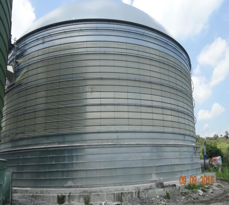 Biogas-Fired Power