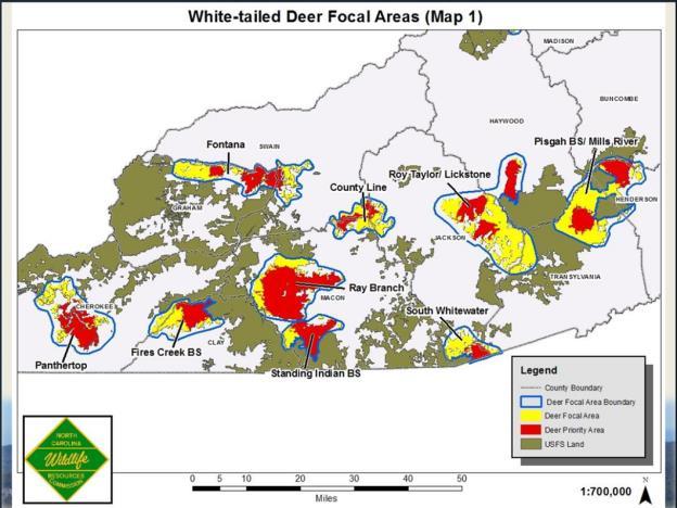USFS Management Areas are compatible with habitat management focal areas developed by the North Carolina Wildlife