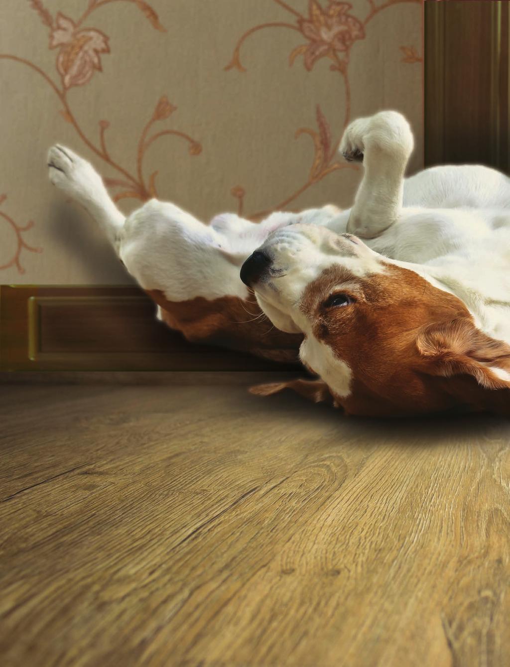 Pet-Friendly Flooring Perfect for Pets and Owners In the U.S., over 65% of households have a pet and we spend more than $60 billion on them each year.