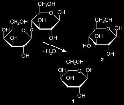 Hydrolysis of lactose to galactose and glucose Two chemical reporters used to reveal the presence of a functioning LacZ are X-Gal