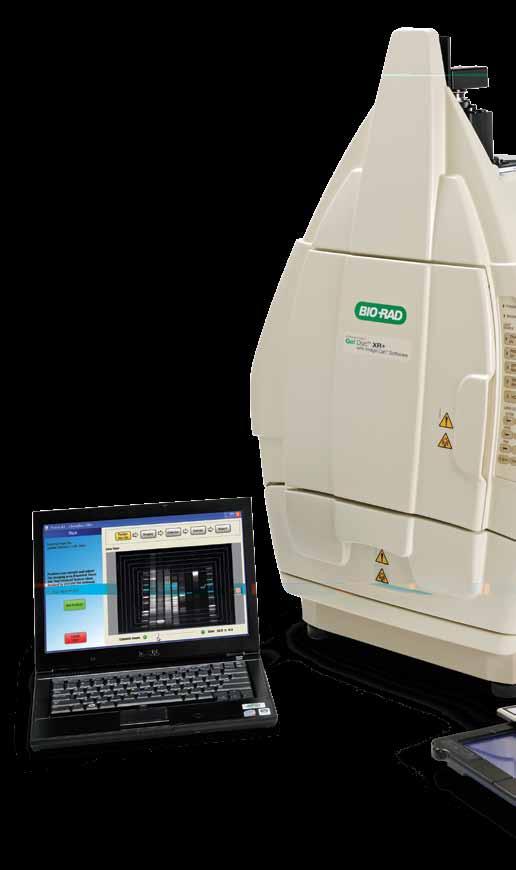 Fast, Automated, Reproducible Imaging for Perfect Images Every Time For more than two decades, the Molecular Imager systems from Bio-Rad have been widely recognized and trusted high-quality imaging