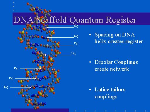 DNA NMR Computers http://rabi.cchem.berkeley.
