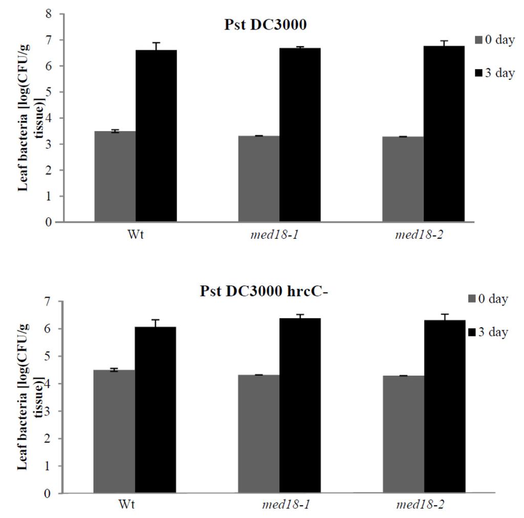 Supplementary Figure 2. MED18 is not required for plant responses to P. syringae pv. tomato DC3000 (virulent strain) and P. syringae pv. tomato DC3000 hrcc - (non-pathogenic strain).
