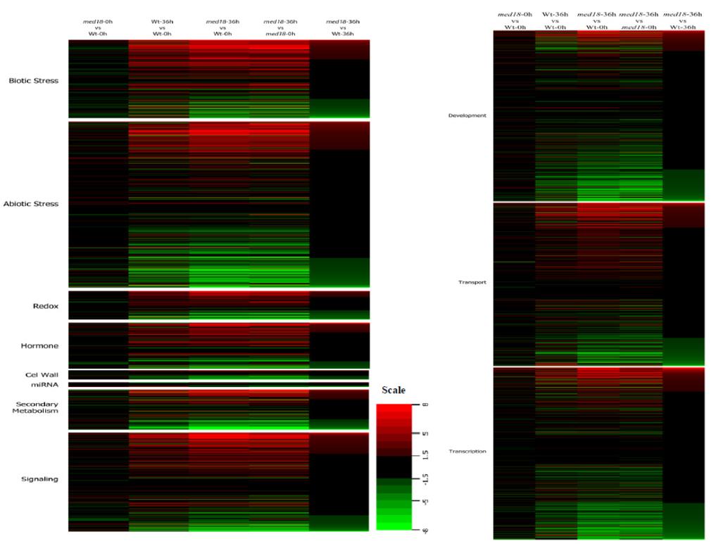 Supplementary Figure 8. Heat map showing altered expression of genes (fold change relative to the wild type) by functional categories in med18 mutant and wild-type plants before and after infection.