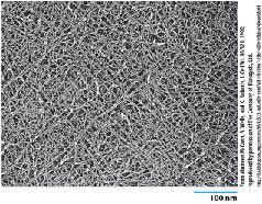 cell wall matrix hemicellulose highly branched crosslinked to microfibrils pectin negatively