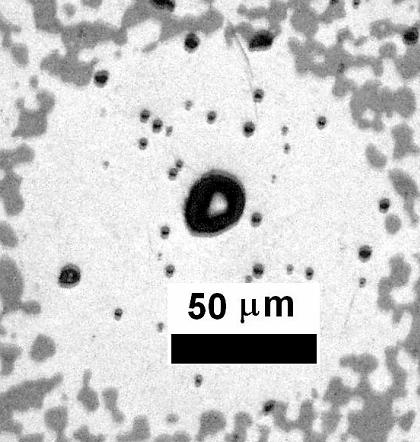 phase Successfully incorporated microspheres into