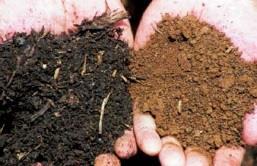 Soil health reduces crop insurance liability and creates jobs.