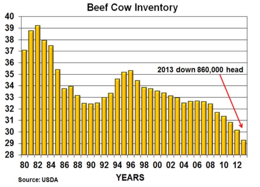 COW INVENTORY ANALYSIS 35,000 # Cows (1,000) 30,000 25,000 20,000 15,000 10,000 5,000 0 11% Decrease in Beef Cows 0.5% Increase in Dairy Cows Jan 08 Jan 09 Jan 10 Jan 11 Jan 12 Jan 13 Beef Cows 29.