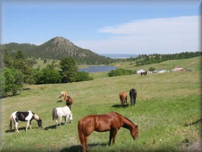 The Ranch Home of beef cattle Provides food,