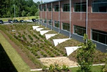 Bioretention Feasibility Criteria Works for all soil types and most site conditions Underdrain