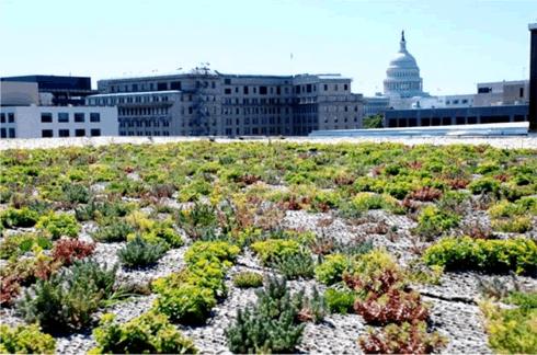 4.5 Green Roofs http://www.greenroofs.