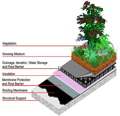 Green Roof Design Criteria