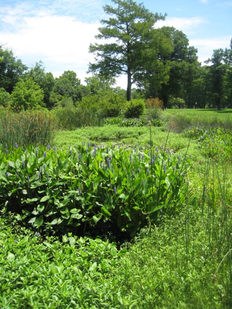 4.12 Stormwater Wetlands Multiple depth zones recommended, varying