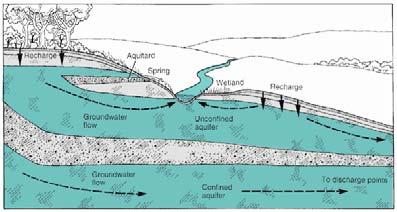 Surface Water & Groundwater They Are