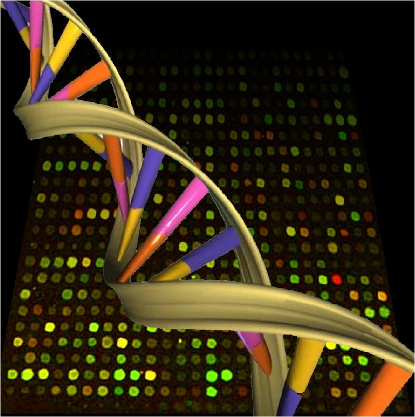 The comprehensive exploration of nucleic acids expression has experienced an outstanding technological maturation, supported by the emergence of new technologies, such as DNA microarrays.