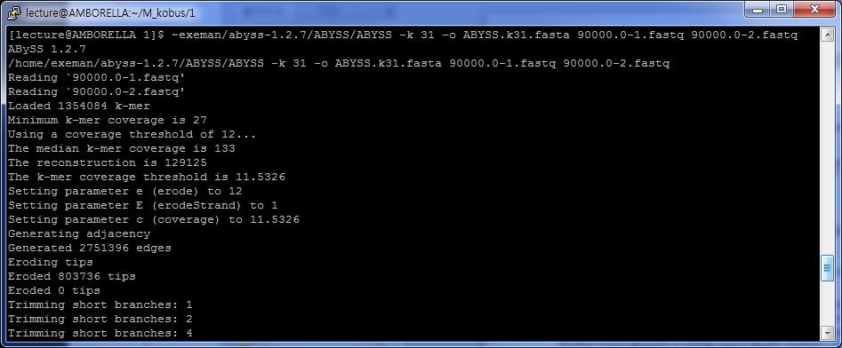 ABYSS Assembler (1) ~exeman/abyss 1.2.