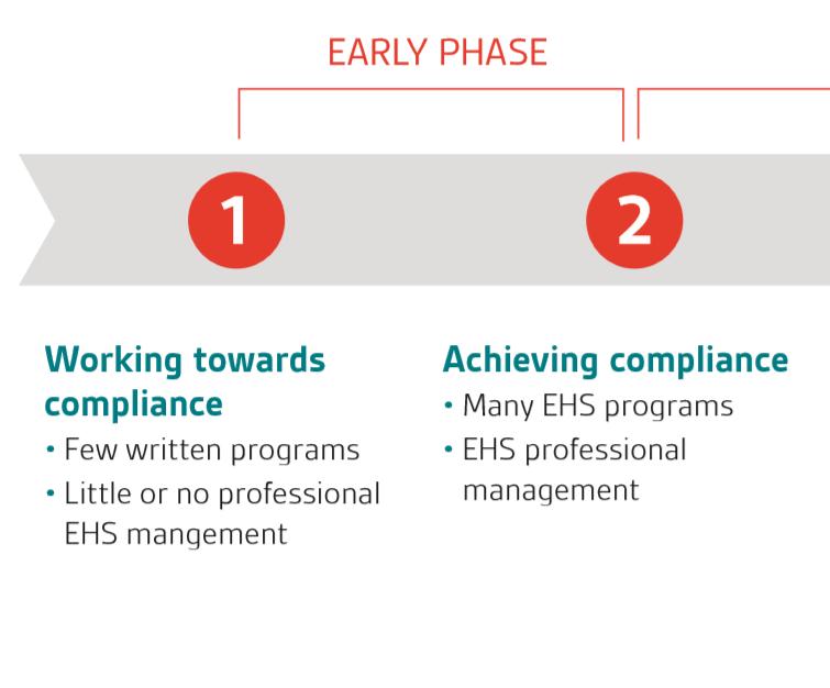 Early Phase Tactics The focus at this level of maturity is on establishing compliance. Questions to consider: What are our risks?