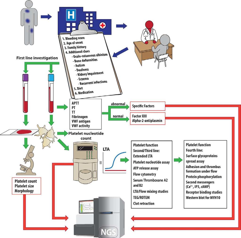 Fig 3. A diagnostic process for inherited bleeding disorders incorporating genetic analysis.
