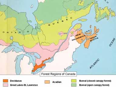 The Acadian Forest The Acadian Forest is the name given to the forest region which encompasses northern Maine and most of the Maritime provinces (Fig. 2-1).