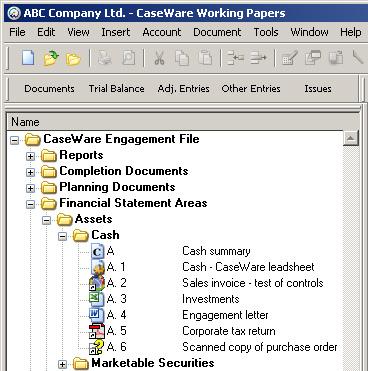 Document Management System CASEWARE WORKING PAPERS Using state-of-the-art object component architecture, Working Papers can be easily integrated with other software tools.