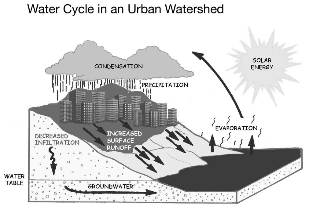 What Is a Watershed? Key to the Sea Connection The concept of watersheds is the foundation of the entire Key to the Sea program. Ocean pollution problems and solutions start within our watersheds.