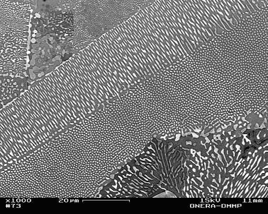 Eutectic microstructure of a Nb (81.8%) Si (18.