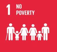 a.2 Government spending on education/health/social protection 1.a.3 Grants allocated to poverty reduction Target 1.b 