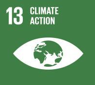 Goal 13 - Climate action Target 13.1 - Resilience and adaptive capacity Target 13.1 - Resilience and adaptive capacity 13.1.1 Countries with disaster risk reduction strategies 13.1.2 National disaster risk reduction strategies 13.