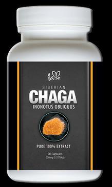 The natural phytochemicals found in Siberian Chaga really made a difference in life expectancy.