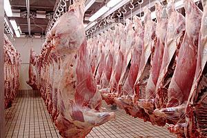 Factors Leading to the Canadian Pork Industry s Downsizing
