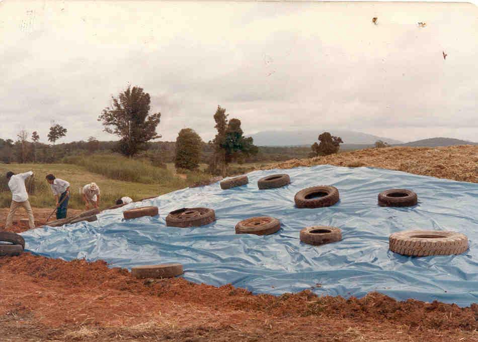 Silage for On-farm Dairy Feeding (1983 to 1985); surface stack pile