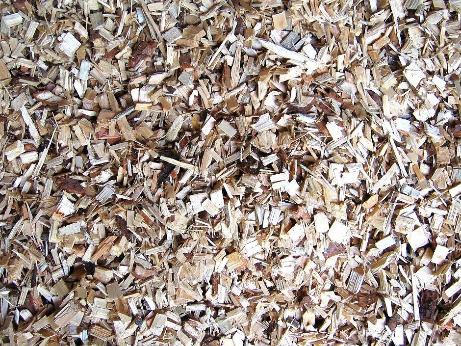Biomass Biomass is living or recently dead biological materials