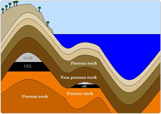 Fossil Fuels Fossils fuels formed when dead plants and animals drifted to the bottom of seabeds and were eventually crushed under rocks and sediment that piled up on top of
