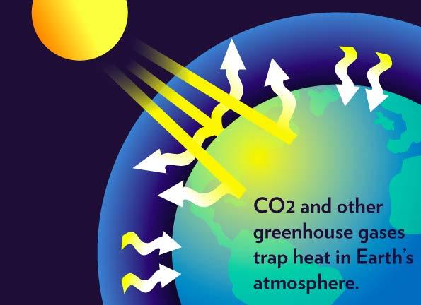 Greenhouse Gases Sometimes human energy use releases gases into the air that trap heat and make the planet warmer.