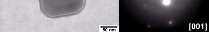 it seems as if cubic titanium nitrides precipitate on grain boundaries where diffusion