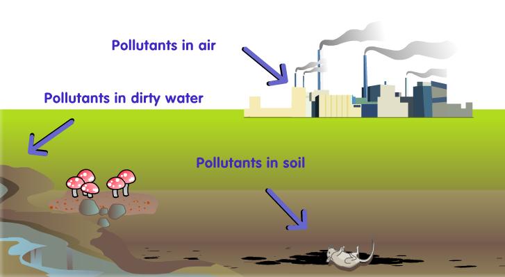 Pollution is caused by the presence of a substance that is harmful