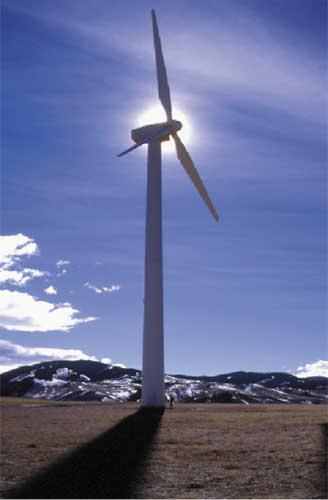 Wind Power Uses movement energy from the wind to generate electricity.