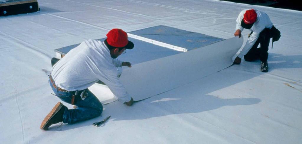 ARDEX TPO Roofing Systems A world of experience providing engineered solutions for waterproofing projects ARDEX Australia is part of the ARDEX group, a company founded in Germany in the 1940s, that