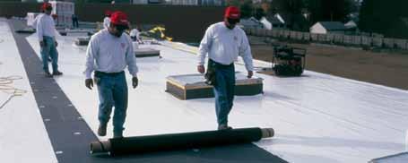 SAFE INSTALLATION Utilising a non-flammable, non hazardous system, the ARDEX TPO membrane is extremely safe with no risk of fire or risk to health.