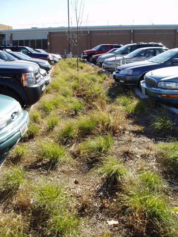 Recent Bioretention Retrofit Projects in Commercial and Residential Areas in Madison, WI Soil Compaction and Recovery of Infiltration Rates Typical site development dramatically alters