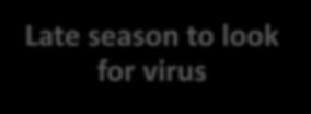 virus All