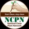 NCPN funds 28 clean plant centers around the US NCPN Supported Clean Plant Centers and Programs USDA - Corvallis OSU