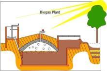 V. Biogas 60,000 50,000 40,000 30,000 20,000 10,000