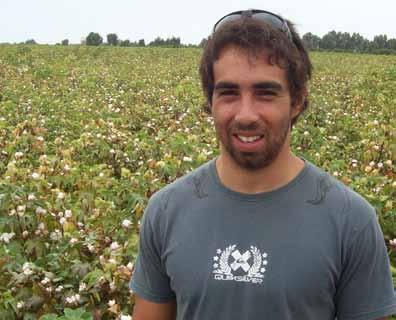 First, they planted Hazera pima cotton and IPA 59 variety, and last season they planted only the famous "Peruvian pima" variety.